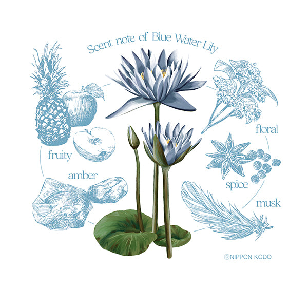 花風PLATINA BLUE WATER LILY 小盒裝