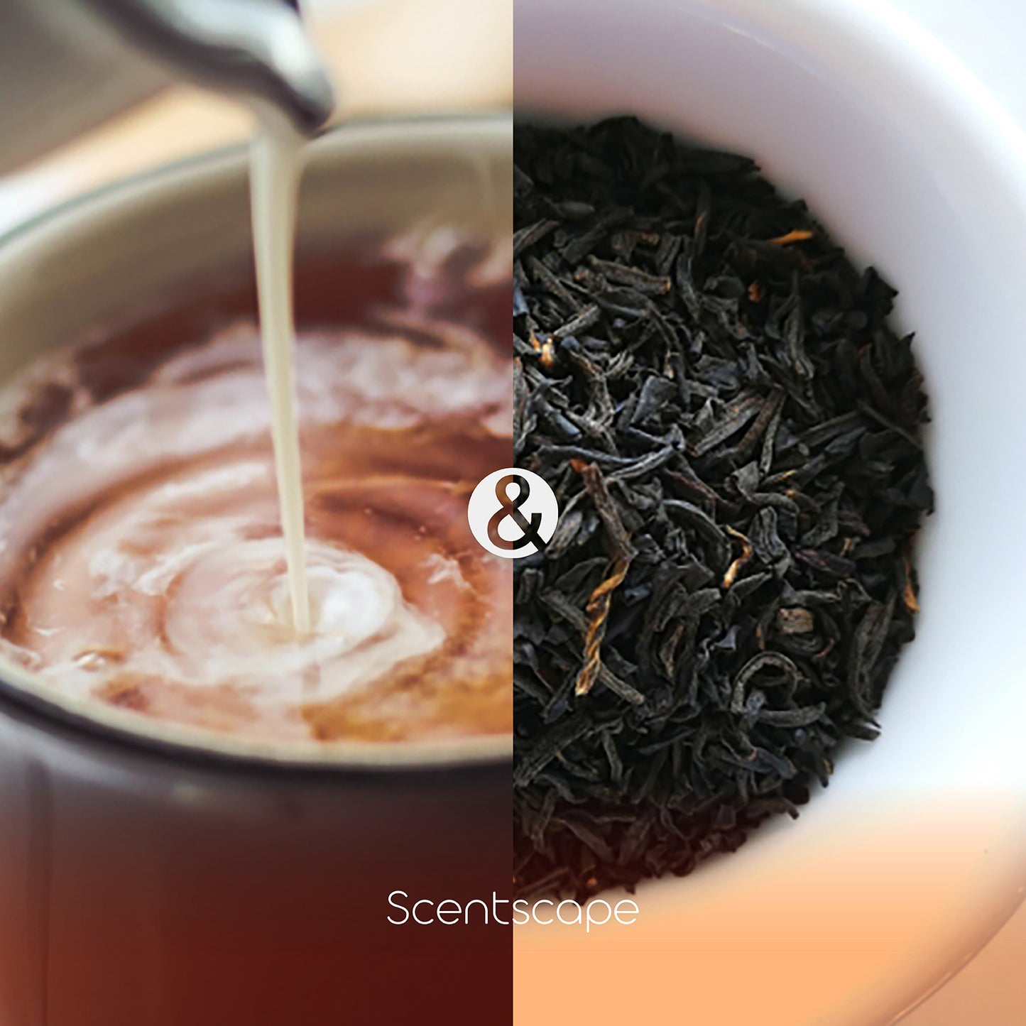 Scentscape - 奶茶