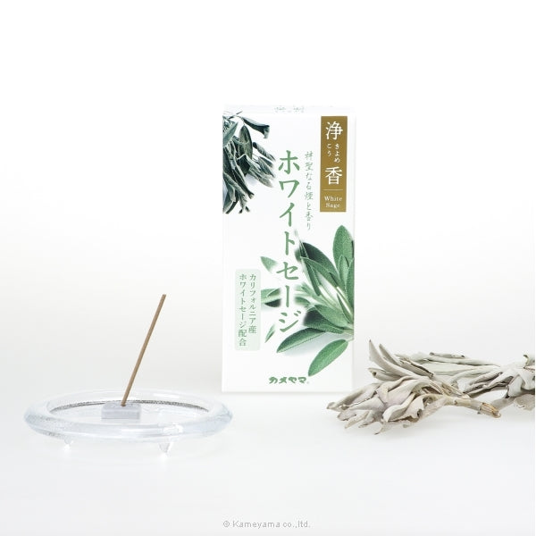 淨香 白鼠尾草