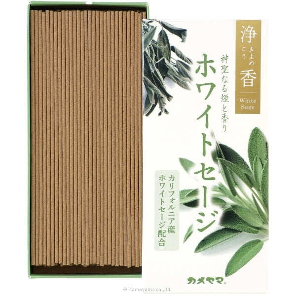 淨香 白鼠尾草