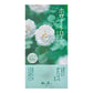 薪傳 白玫瑰