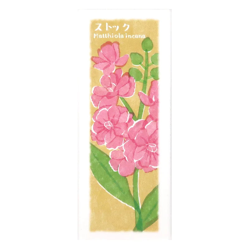 以花傳心 紫羅蘭