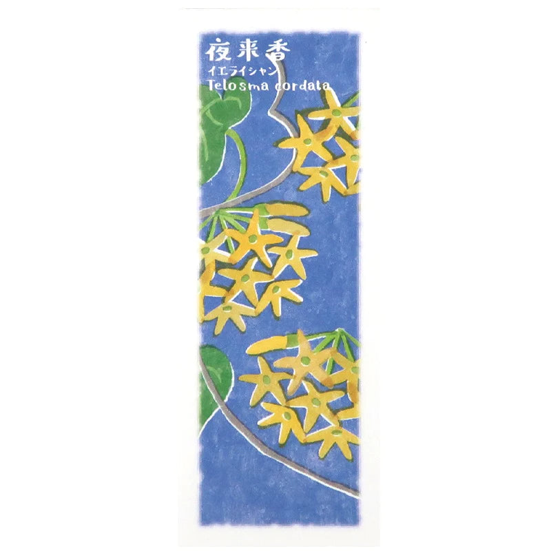 以花傳心 夜來香