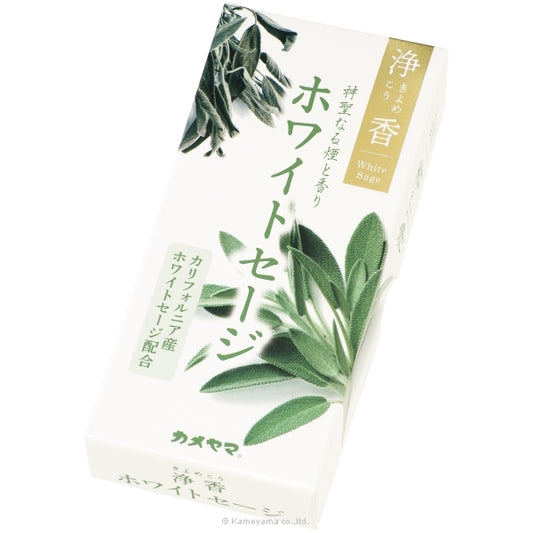 淨香 白鼠尾草